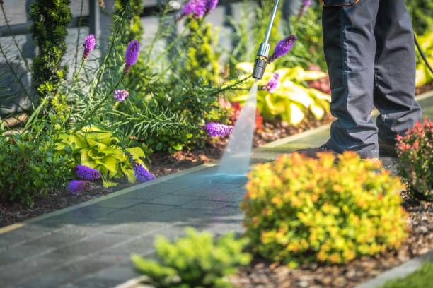 Best Parking Lot and Garage Cleaning  in Weedpatch, CA