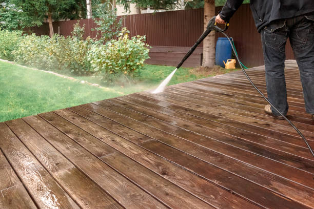 Best Roof Washing  in Weedpatch, CA